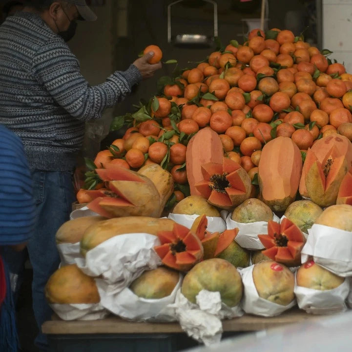 Xochimilco Tour | Lunch at the Farmers Market With Tacos, Tamales, Pulque & more