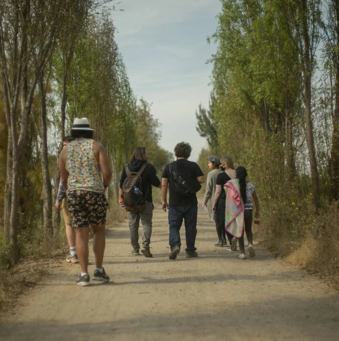 Take a walking tour to an alternative side of Mexico City