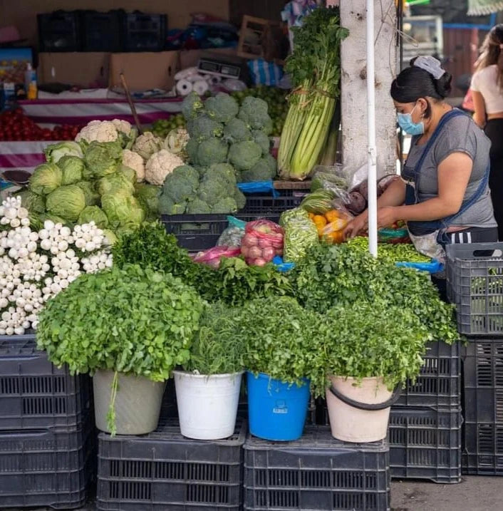 Meet an authentic farmer's market in Mexico City