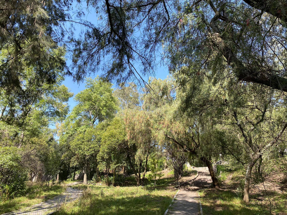 Barrilaco Park in Mexico City