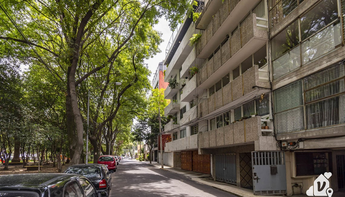 Best Neighborhoods to Stay in Mexico City (Not Named Roma or Condesa)