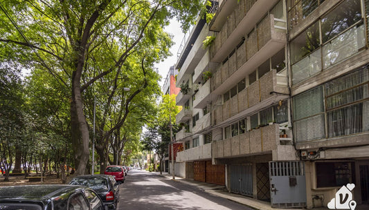Best Neighborhoods to Stay in Mexico City (Not Named Roma or Condesa)
