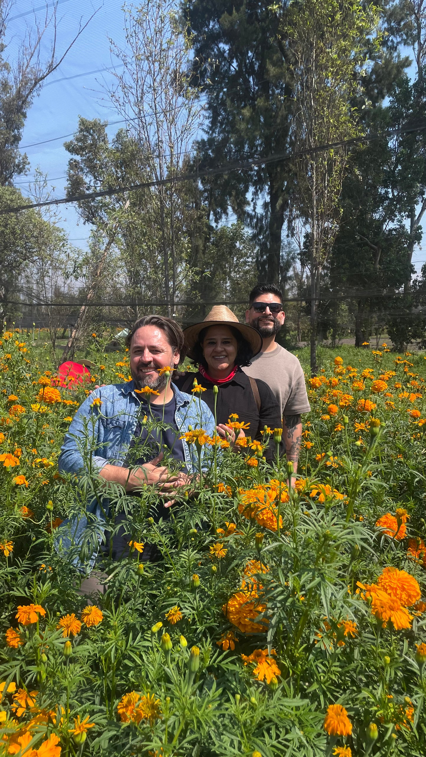 Xochimilco Tour | Explore the Pre-Columbian Floating Gardens of Mexico City