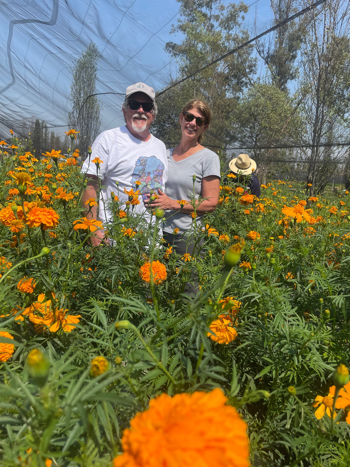 Xochimilco Tour | Explore the Pre-Columbian Floating Gardens of Mexico City