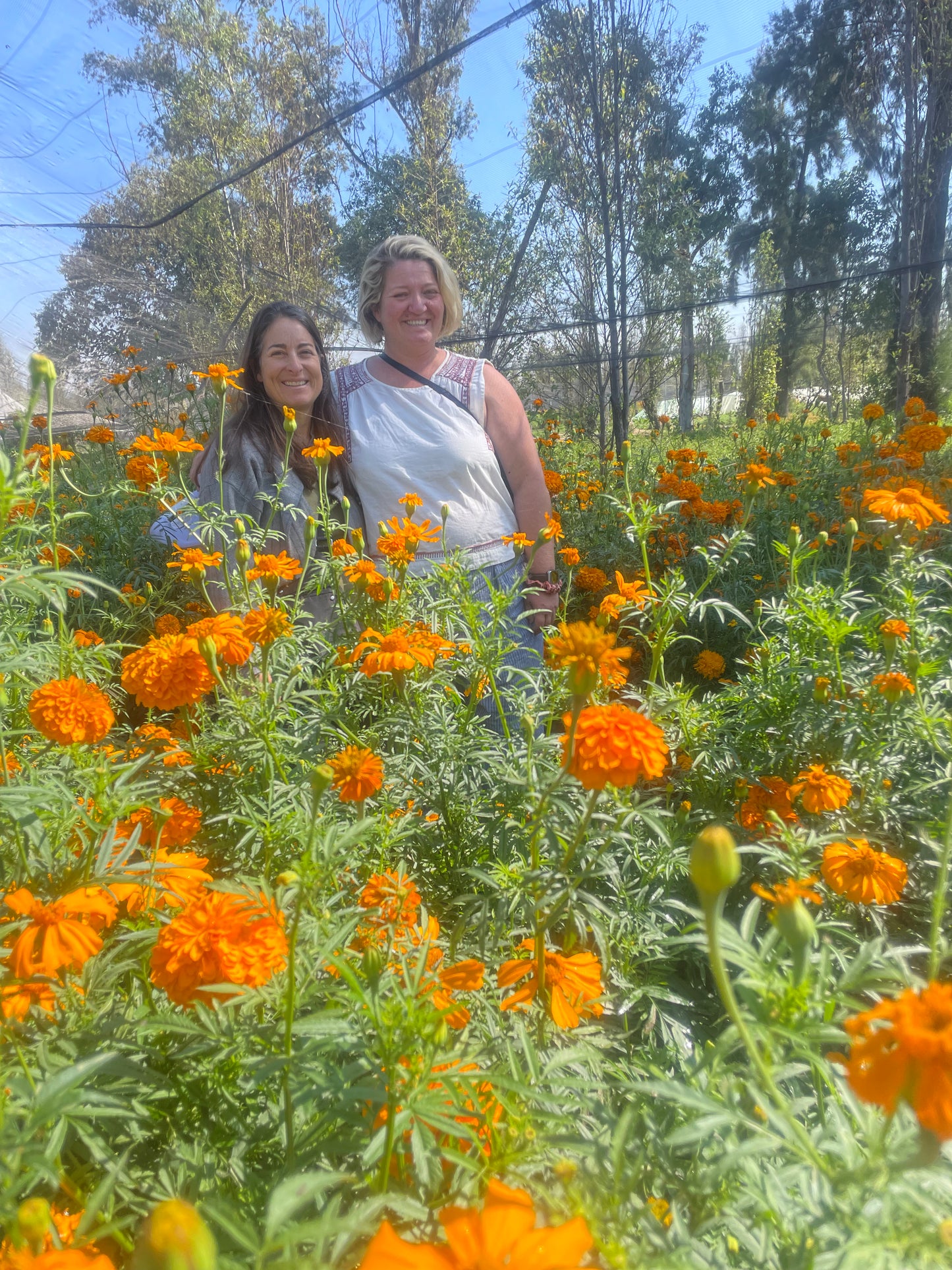 Xochimilco Tour | Explore the Pre-Columbian Floating Gardens of Mexico City