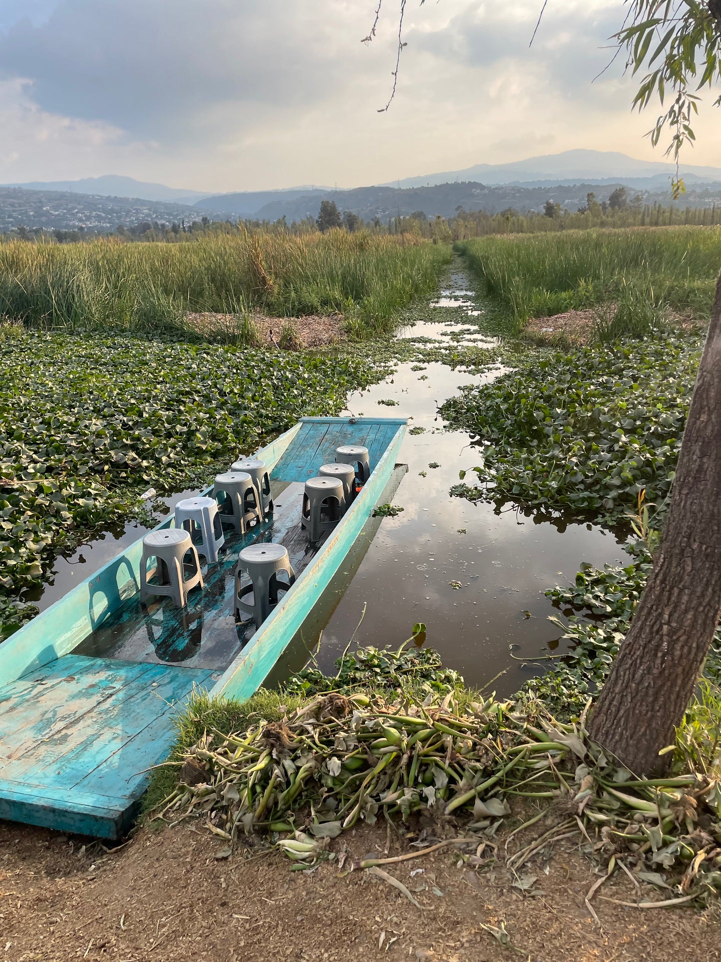 Xochimilco Tour | Explore the Pre-Columbian Floating Gardens of Mexico City