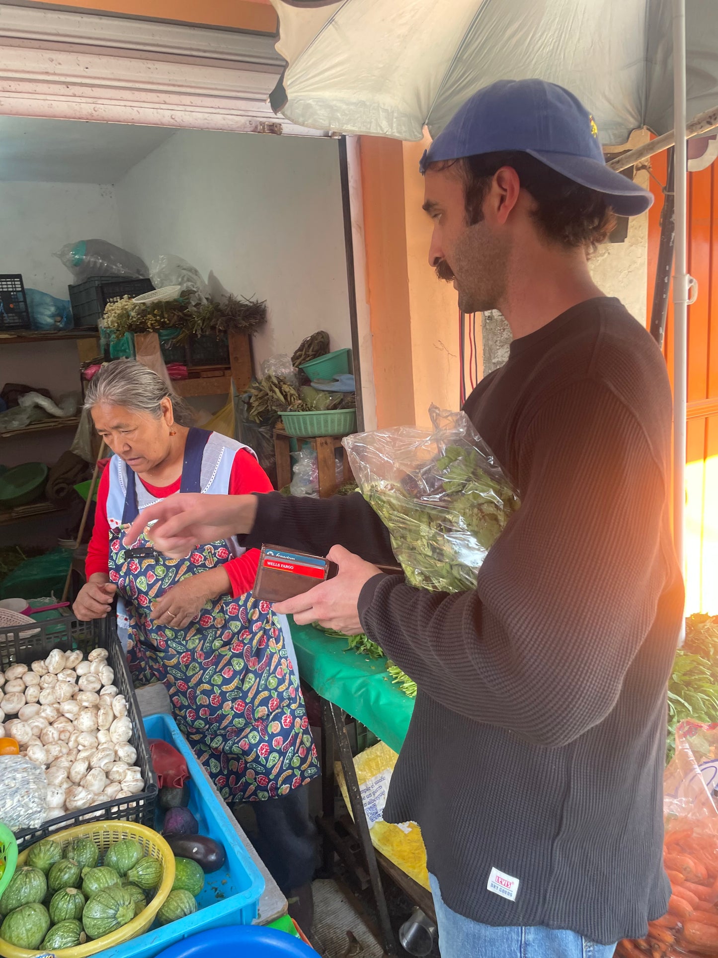 Xochimilco Tour | Explore the Pre-Columbian Floating Gardens of Mexico City