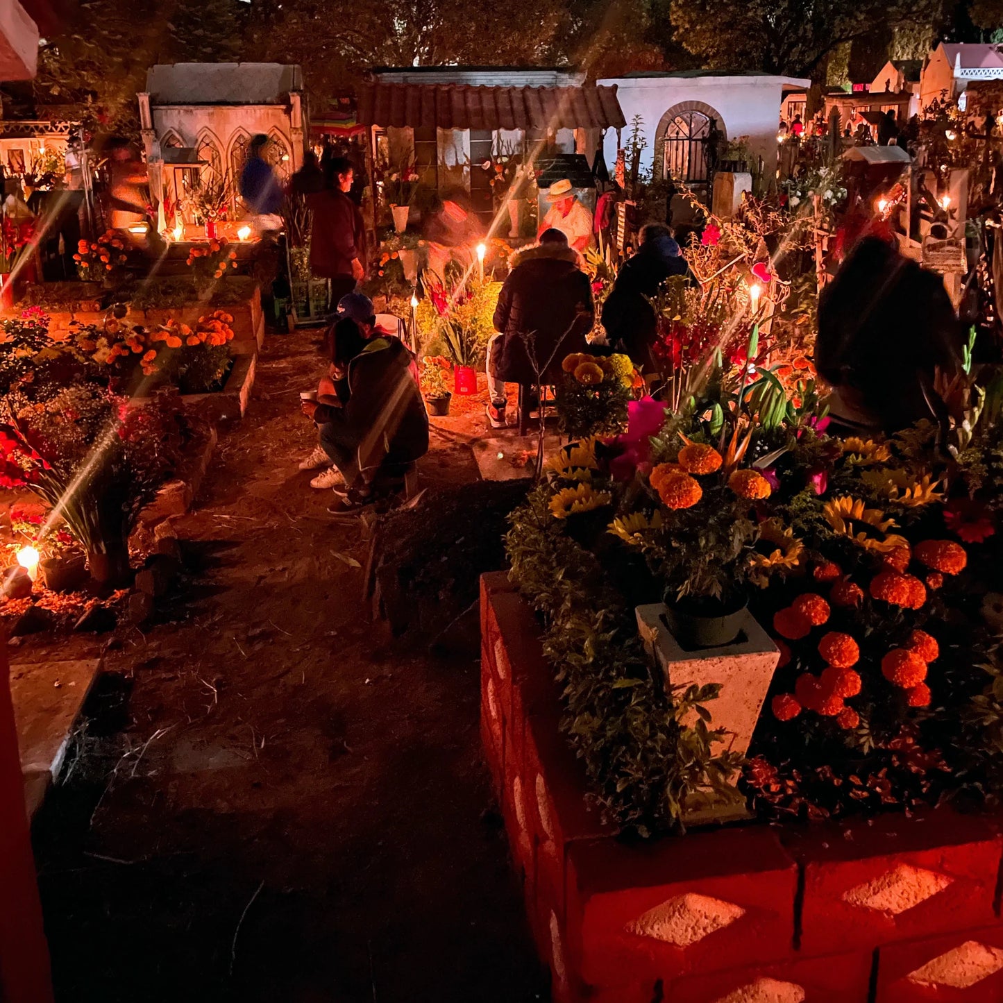 Día de Muertos in Xochimilco | Unforgettable Celebration of Life