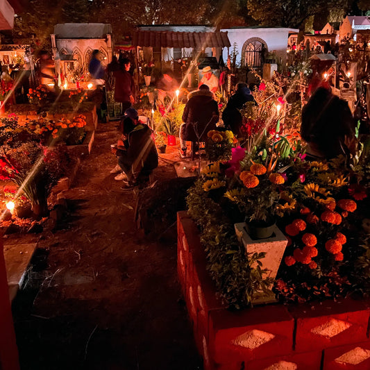 Día de Muertos in Xochimilco | Unforgettable Celebration of Life