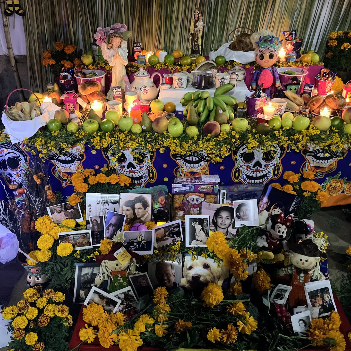 Día de Muertos in Xochimilco | Unforgettable Celebration of Life