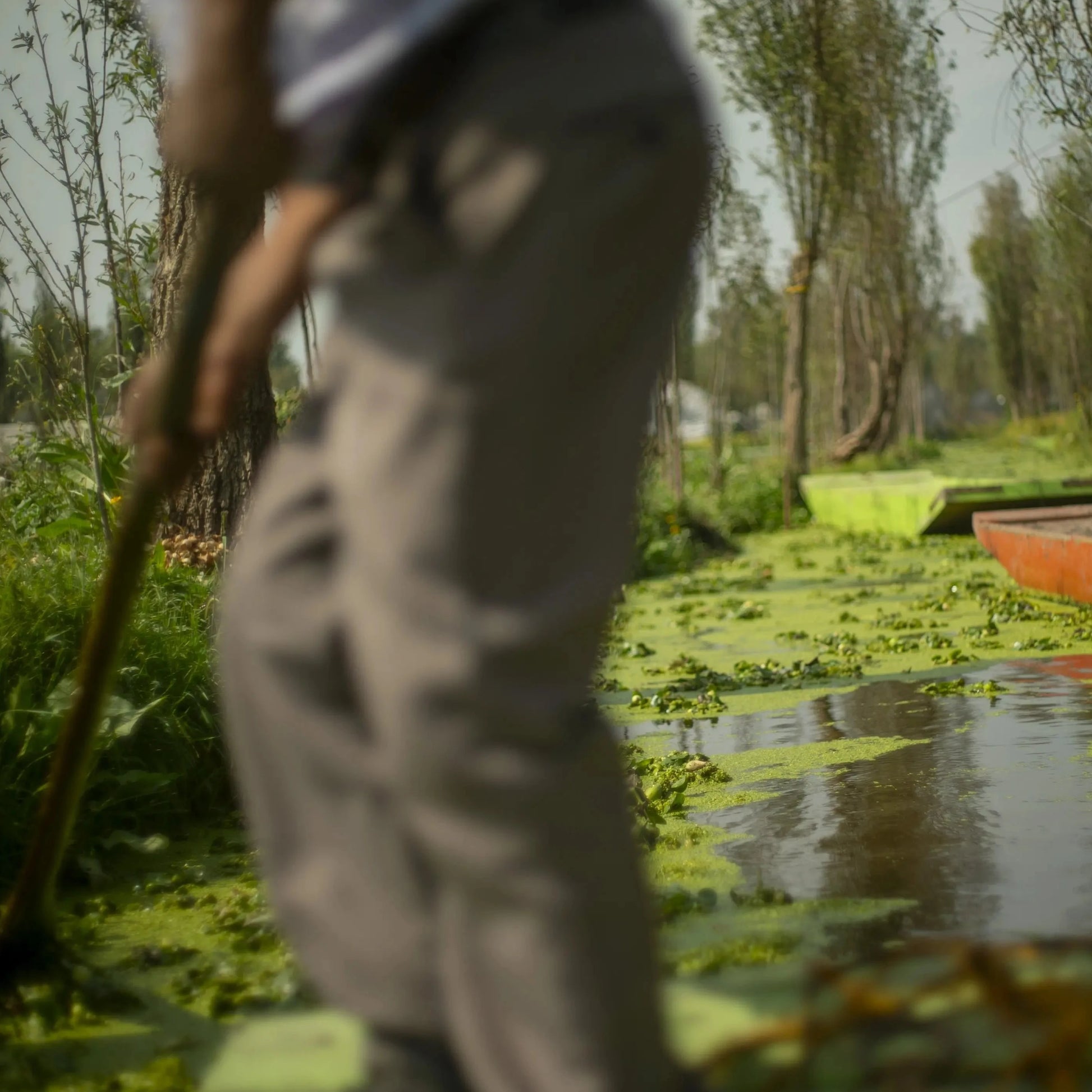 Xochimilco Tour | Explore the Pre-Hispanic side of Mexico City - Pachoa México